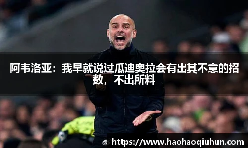 乐竟体育